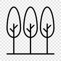 tree, woodland, forest, timber icon svg