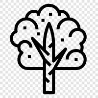 tree, foliage, leaves, needles icon svg