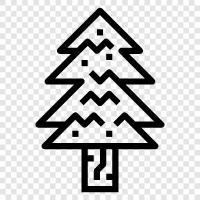 tree, needles, bark, cones icon svg