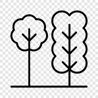 tree icon svg