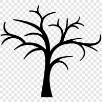 tree, plants, leaves, needles icon svg