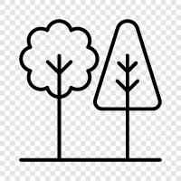 tree, leaves, bark, trunk icon svg