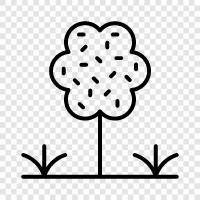 tree, leaves, bark, height icon svg