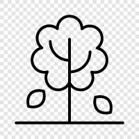 tree, plants, green, outdoor icon svg