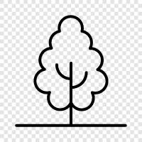 tree, forestry, planting, care icon svg