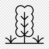 tree, trees, forestry, lumber icon svg