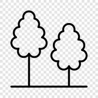 tree, wood, lumber, woodworking icon svg