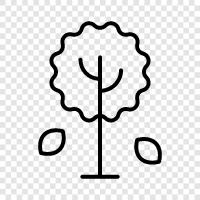 tree icon svg