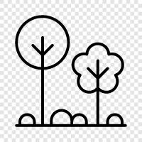 tree, growth, leaves, bark icon svg