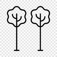 tree, foliage, leaves, branches icon svg