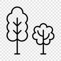 tree, forestry, lumber, wood icon svg