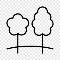 tree, forest, leaf, branch icon svg