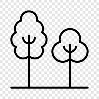 tree, forestry, lumber, forest icon svg