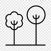 tree, forest, leaf, bark icon svg