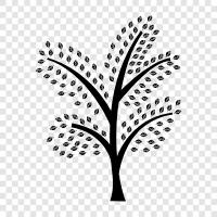 tree, foliage, bark, leaves icon svg