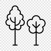 tree, forestry, wood, lumber icon svg