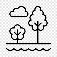 tree, forestry, plantation, forest icon svg