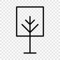 Baum symbol