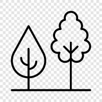 tree, plants, leaves, bark icon svg