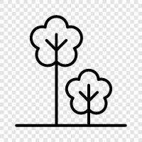 Baum, Forstwirtschaft, Wald, Forstabteilung symbol