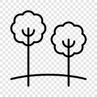 tree, leaves, bark, trunk icon svg