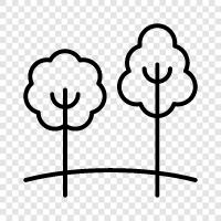 tree, forestry, forest, wood icon svg