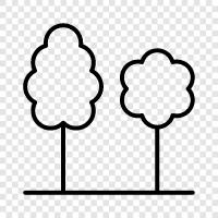 tree, forestry, lumber, forest icon svg