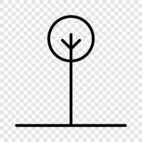 Baum, Wald, Säubern, Wachstum symbol