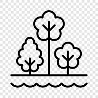 tree, trees, forests, foliage icon svg