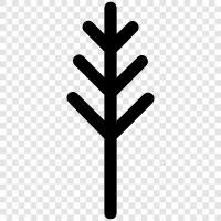 Baum, Bäume, Holz, Forstwirtschaft symbol