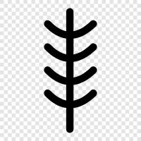 tree, forest, foliage, leaves icon svg