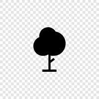 tree, trees, growth, saplings icon svg