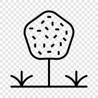 tree icon svg