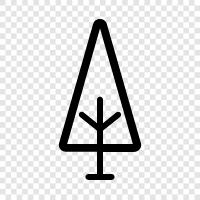 tree icon svg