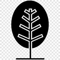 tree, forestry, forest, growth icon svg