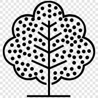 tree icon svg