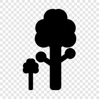 tree, Arbor, Foliage, Leaves icon svg