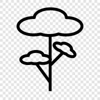 tree icon svg