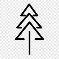 tree, growth, health, leaves icon svg