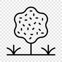 tree icon svg