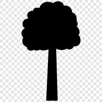 tree, trees, wood, lumber icon svg