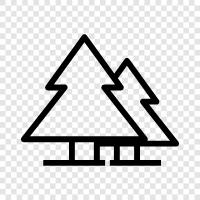 tree, needles, fir, Christmas icon svg