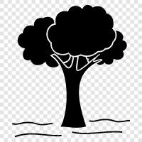 tree icon svg