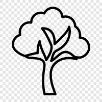 tree icon svg