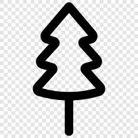 tree, needles, cones, bark icon svg