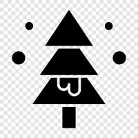 Baum symbol