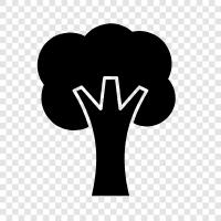 tree icon svg