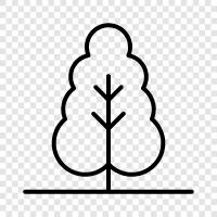 Treehouse, Ficus, Palm, Palm Tree icon svg