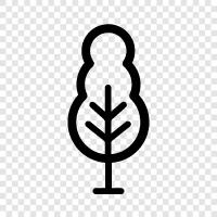 Treehouse, Tree Lover, Tree Climber, Shade Tree icon svg