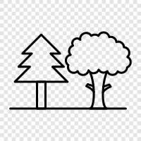 trees, nature, wilderness, conservation icon svg